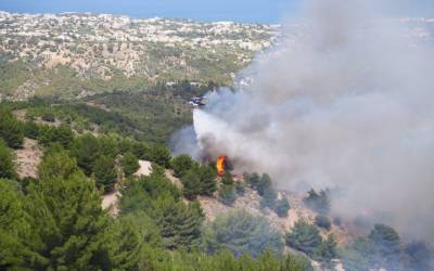 Πυρκαγιά στην περιοχή Ρεστά της Χίου (βίντεο)