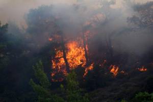 Και αύριο αυξημένος κίνδυνος πυρκαγιάς στη Λακωνία