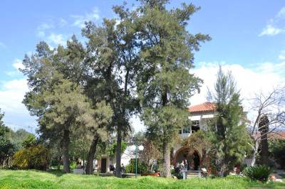 Δύο εκδηλώσεις στο Αγρόκτημα Φοίφα