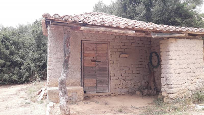 Ψάχνουν χώρο για τους “θετικούς” εργάτες γης στα Φιλιατρά