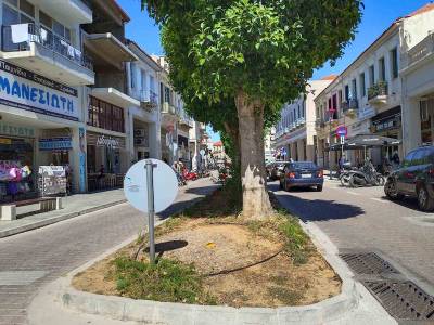 Η ανάγκη για πράσινο