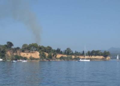 Μεσσηνία: Εγκαιρη επέμβαση της Πυροσβεστικής σε πυρκαγιά στην Αγία Τριάδα Κορώνης