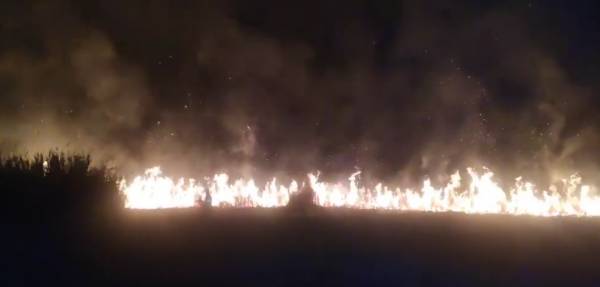 Μεσσηνία: Πυρκαγιά στη λιμνοθάλασσα της Γιάλοβας (βίντεο)