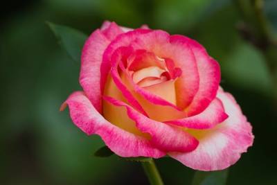 Αστρολογία – 25/7/2023