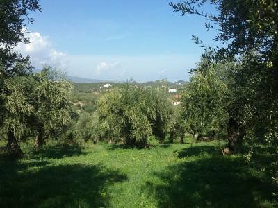 Στο στόχαστρο του κράτους τα αγροκτήματα των Μεσσηνίων 