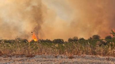 Πολύ υψηλός κίνδυνος πυρκαγιάς αύριο σε περιοχές της Πελοποννήσου