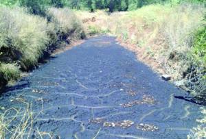 Προβλήματα σε ποτάμια από τα λιόζουμα των ελαιοτριβείων