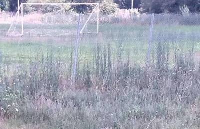 Αποκατάσταση χλοοτάπητα στα γήπεδα Μελιγαλά και Διαβολιτσίου