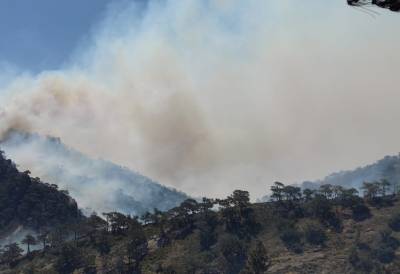 Βελτιωμένη η εικόνα της φωτιάς στο Λασίθι - Λίγες διάσπαρτες εστίες αντιμετωπίζουν οι πυροσβεστικές δυνάμεις