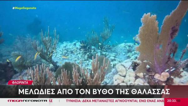 ΗΠΑ: Υποβρύχια συναυλία για την προστασία των κοραλλιογενών υφάλων