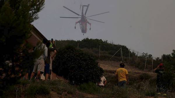 Πυρκαγιά σε δασική έκταση στην περιοχή Κρυονέρι Αμαλιάδας