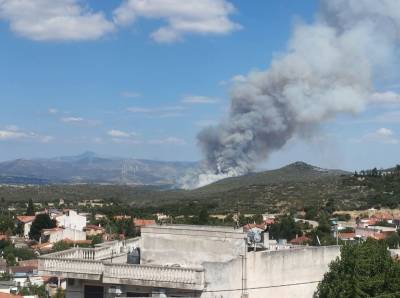 Μεγάλη πυρκαγιά σε αγροτοδασική έκταση στην Οινόη Αττικής (βίντεο)