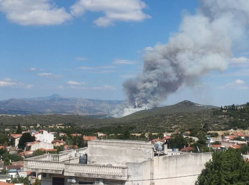 Μεγάλη πυρκαγιά σε αγροτοδασική έκταση στην Οινόη Αττικής (βίντεο)