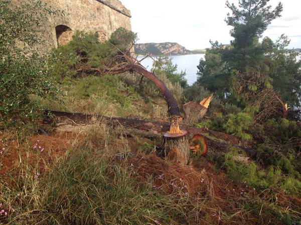 Αρμαγεδδών στο Νιόκαστρο 