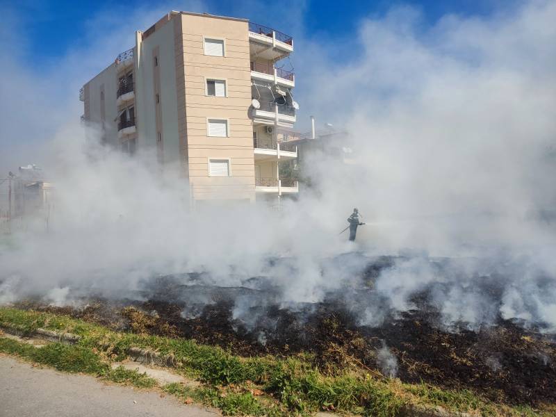 Καλαμάτα: Φωτιά σε οικόπεδο στην οδό Μεγάλου Αλεξάνδρου (βίντεο)