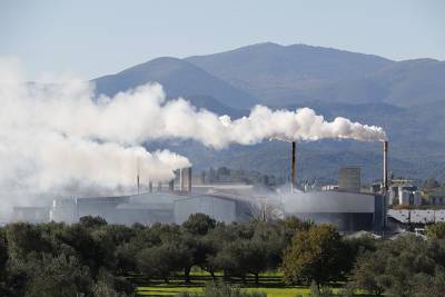 Μεσσηνία: Πρόστιμα Τατούλη για τα μάτια του κόσμου στα πυρηνελαιουργεία