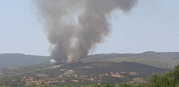 Μεσσηνία: Νέα εστία πυρκαγιάς - Προληπτική εκκένωση στα Λιβαδάκια - Ενίσχυση δυνάμεων