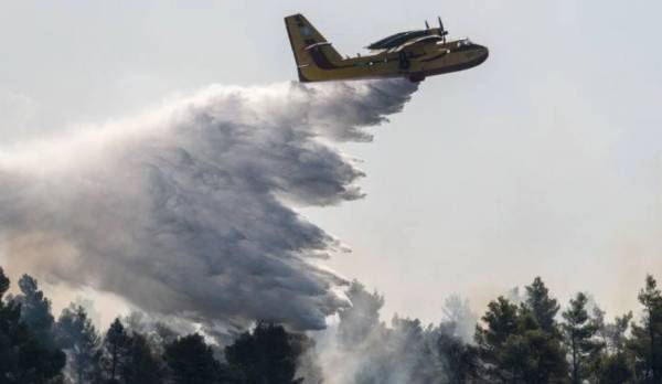 Φωτιά τώρα στη Λακωνία - Καίγεται αγροτοδασική έκταση στην περιοχή Άγιος Ανδρέας