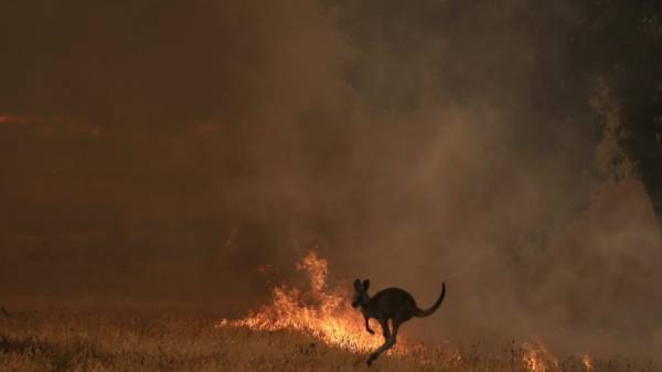 Πυρκαγιές Αυστραλίας: Δεν προβλέπεται πτώση της θερμοκρασίας ή σημαντικές βροχοπτώσεις τους επόμενους μήνες