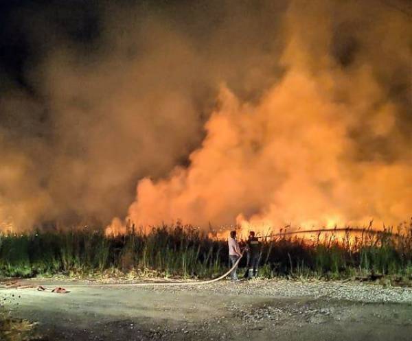 Καλαμάτα: Ρομά επιτέθηκαν σε πυροσβέστες