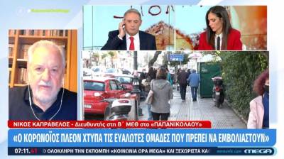 Καπραβέλος: Το 2024 θα είναι μία χρονιά πρόκληση για τον κορονοϊό (Βίντεο)