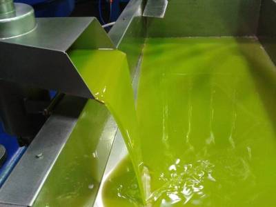 Μεσσηνία: Σταθερά πάνω από 4 ευρώ το ελαιόλαδο λίγο πριν την έναρξη της νέας παραγωγής