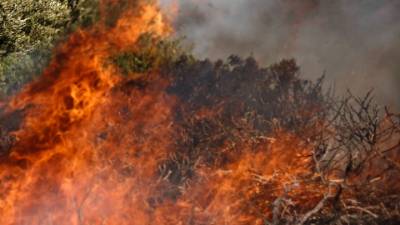 Νέα πυρκαγιά στον Άγιο Θωμά Ηρακλείου Κρήτης