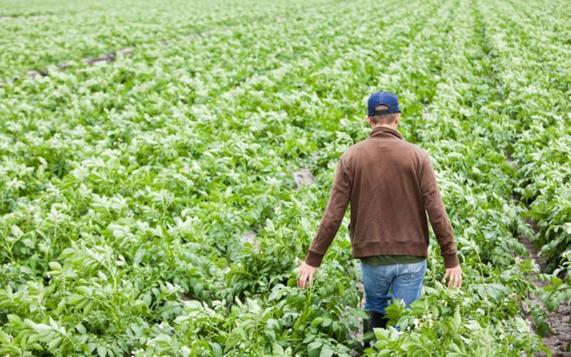 Εως 42.500 ευρώ ενίσχυση σε γεωργούς νεαρής ηλικίας