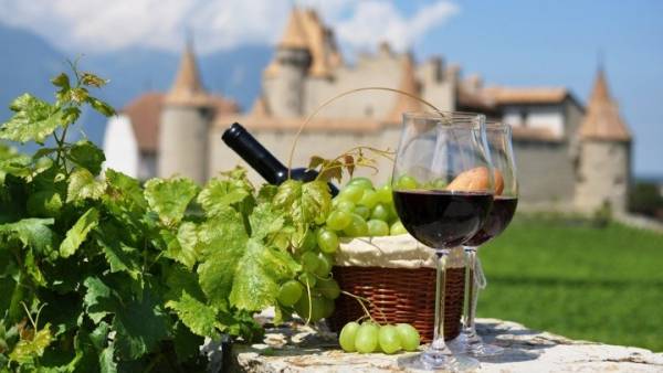 Γαλλία: Ρεκόρ παραγωγής κρασιού το 2018, αλλά μείωση της κατανάλωσης
