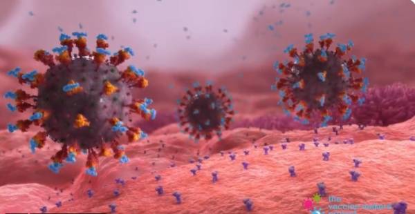Κορονοϊός: Πώς τα εμβόλια mRNA νικούν τον ιό (Βίντεο)