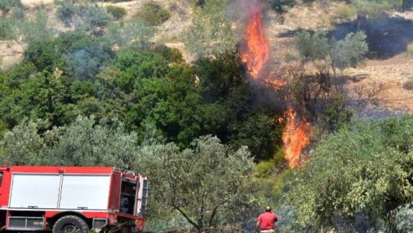 Πολύ υψηλός κίνδυνος πυρκαγιάς αύριο για τις περιφέρειες Βορείου, Νοτίου Αιγαίου και Κρήτης - 50 δασικές πυρκαγιές το τελευταίο 24ωρο