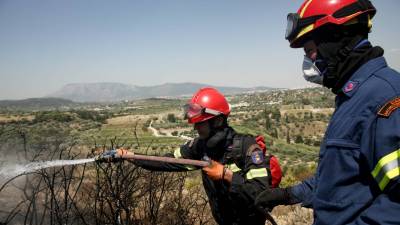 Ιωάννινα: Πυρκαγιά ξέσπασε απόψε στο Μιτσικέλι