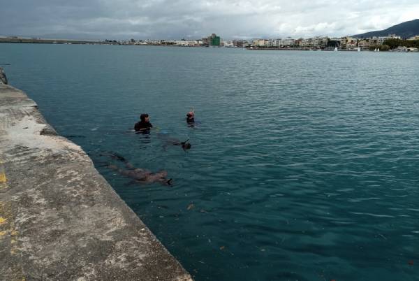 Υποθαλάσσια έρευνα στο λιμάνι της Καλαμάτας για τον εντοπισμό του 84χρονου Γιώργου Ορφανού (φωτογραφίες)