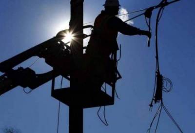 Μεσσηνία: Κουνάβι έκοψε το ρεύμα στη μισή Πυλία