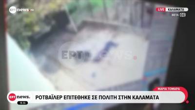 Μεσσηνία: Στο ΚΑΤ ο 76χρονος μετά την επίθεση του ροντβάιλερ - Το μήνυμα του γιού του