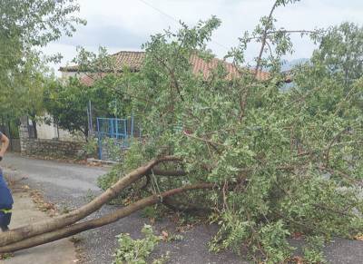 Ζημιές από ανεμοθύελλα σε Οιχαλία και Τριφυλία (φωτογραφίες)