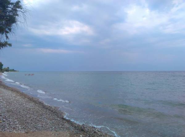 Προτάσεις για την πρόσβαση στις παραλίες του Δήμου Μεσσήνης