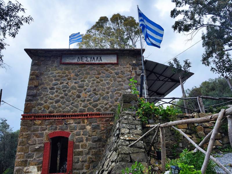 “Αγαπάμε Δεσύλλα”: Η προσπάθεια της ομάδας αναγνωρίζεται και εμπνέει