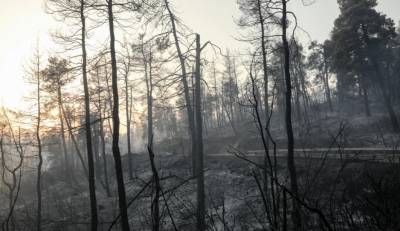 Δημοσιεύτηκε η ΚΥΑ για το ειδικό καθεστώς ενίσχυσης των κτηνοτρόφων της Βόρειας Εύβοιας