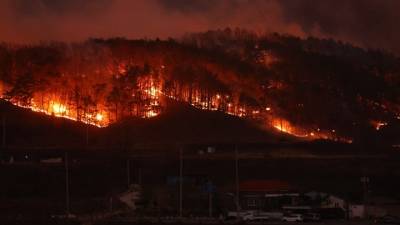 18 νεκροί από πυρκαγιές στη Νότια Κορέα