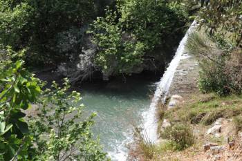 Η αξία του Νέδοντα