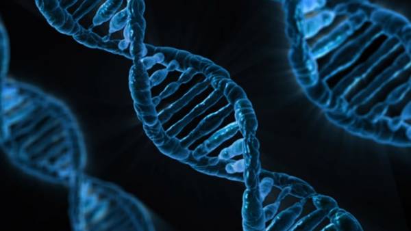Η εξέταση του DNA μπορεί να προλάβει αιφνίδιο θάνατο από ρήξη ανευρύσματος αορτής