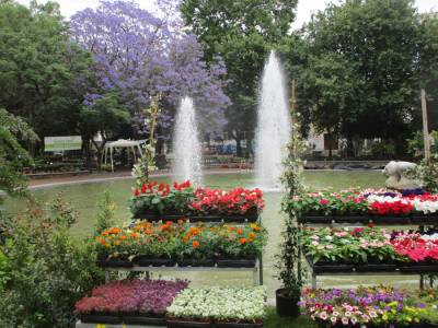 Ξεκίνησε χθες η 7η Ανθοκομική Εκθεση Καλαμάτα (βίντεο)