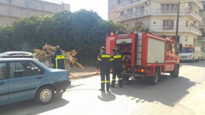 Καλαμάτα: Φωτιά σε κάδο στην πλατεία Ελευθερίας