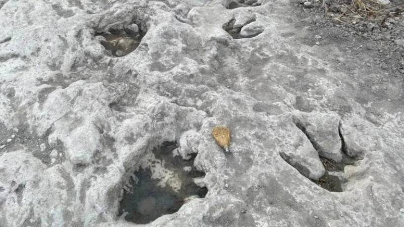 ΗΠΑ: Η ξηρασία στο Τέξας αποκάλυψε ίχνη δεινοσαύρων ηλικίας 113 εκατομμυρίων ετών!