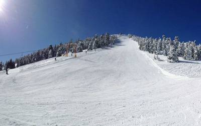 Ο "Ευκλής" κόβει πίτα στο Μαίναλο