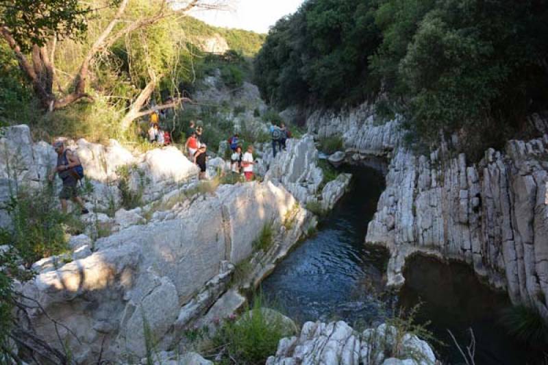 Το Ρέμα της Καρυάς στον Νερόμυλο γνώρισαν οι πεζοπόροι του Ευκλή