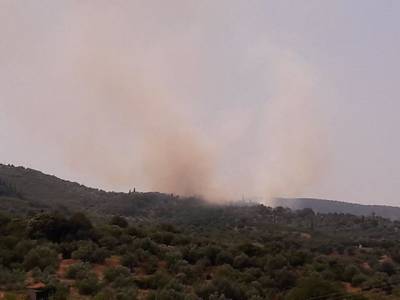 Μεσσηνία: Μεγάλη πυρκαγιά στο Λυκόδημο