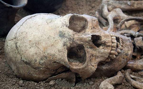Κρανίο 210.000 ετών από την Ελλάδα το αρχαιότερο δείγμα Homo sapiens σε όλη την Ευρασία