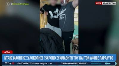 Άρτα: Μαθητής ξυλοκόπησε 15χρονο συμμαθητή του και τον άφησε παράλυτο (Βίντεο)